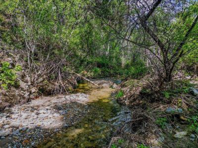 43575 Carmel Valley Road, Greenfield, Califórnia 93927, Estados Unidos