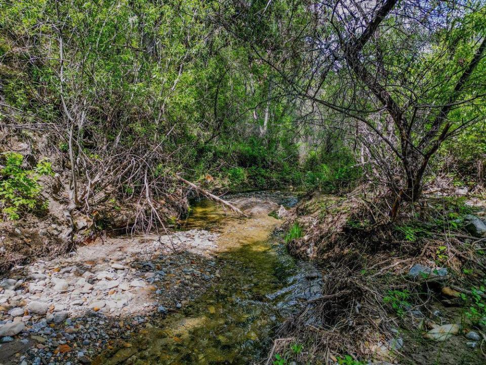 43575 Carmel Valley Road, Greenfield, Califórnia 93927, Estados Unidos