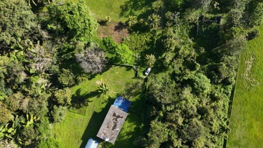 16.121870,-88.795949 , Cattle Landing, Toledo 00001, Belize