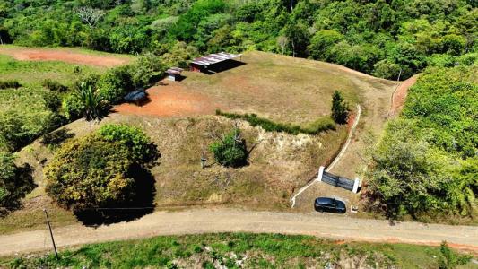 Tres Ríos Puerto Cortés Osa, بونتاريناس 00001, كوستاريكا 