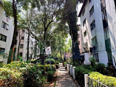 Av. Río Mixcoac 501 Sección F, Entrada 6, Edificio 34, Departamento 41,, Alvaro Obregón, Ciudad De México 01480, Mexico