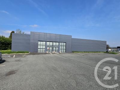 Graulhet, Midi-Pirenei 81300, Francia