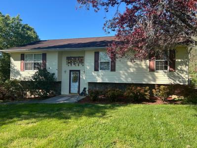 163 Austin Drive, Rogersville, 田納西州 37857, 美國