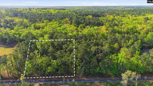 Buck Drive, Hopkins, SC 29061, USA