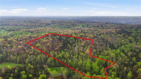 00 Fern Valley Road, Dawsonville, 乔治亚州 30534, 美国