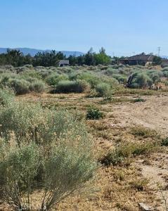 0 Sage, Hesperia, קליפורניה 92344, ארצות הברית של אמריקה