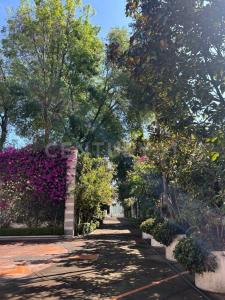 Lluvia ,, Alvaro Obregón, Ciudad De México 01900, Mexique