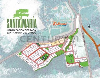 Urubo, Santa Cruz 00001, Bolivia