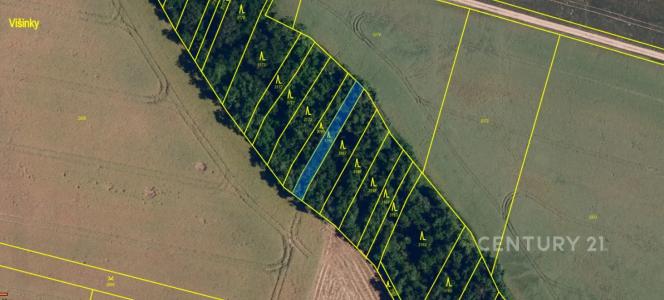 Rybníky, Znojmo 100 00, 捷克共和国