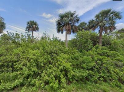 14529 Mcmillin Avenue, Port Charlotte, Florida 33953, USA