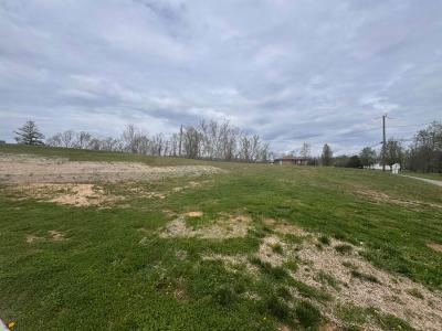 3808 Blue Sulphur Road, Ona, 西弗吉尼亚州 25545, 美国