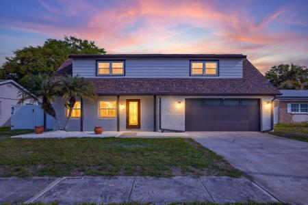 8407 Millwood Drive, Alexus Estates, Florida 33615, USA