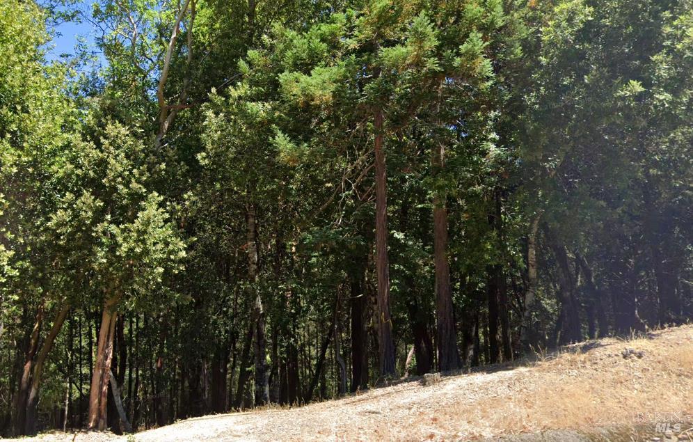 24921 Clover Road, Willits, Калифорния 95490, Соединенные Штаты