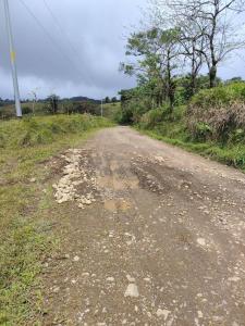 Venado San Carlos, Alajuela 00001, Costa Rica