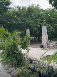 Predio Rústico Tablaje catastral no. 8740,, Chemax, Yucatán 97770, Mexico