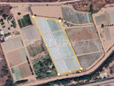 Culiacán, Sinaloa 80140, Mexico