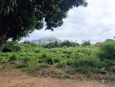 Calle la Sabana 30, La Plaza De Paraguachí, Nueva Esparta 6301, Venezuela