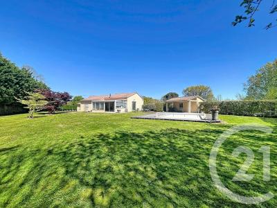 Montauban, Midi-Pyrénées 82000, Fransa