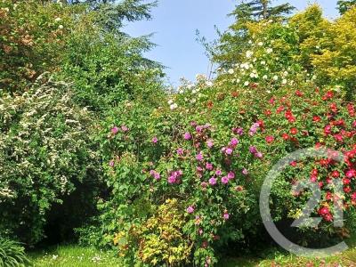 Valognes, Basse-Normandie 50700, France