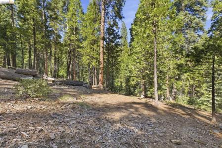 Lot 388 Kerns, Long Barn, California 95335, USA
