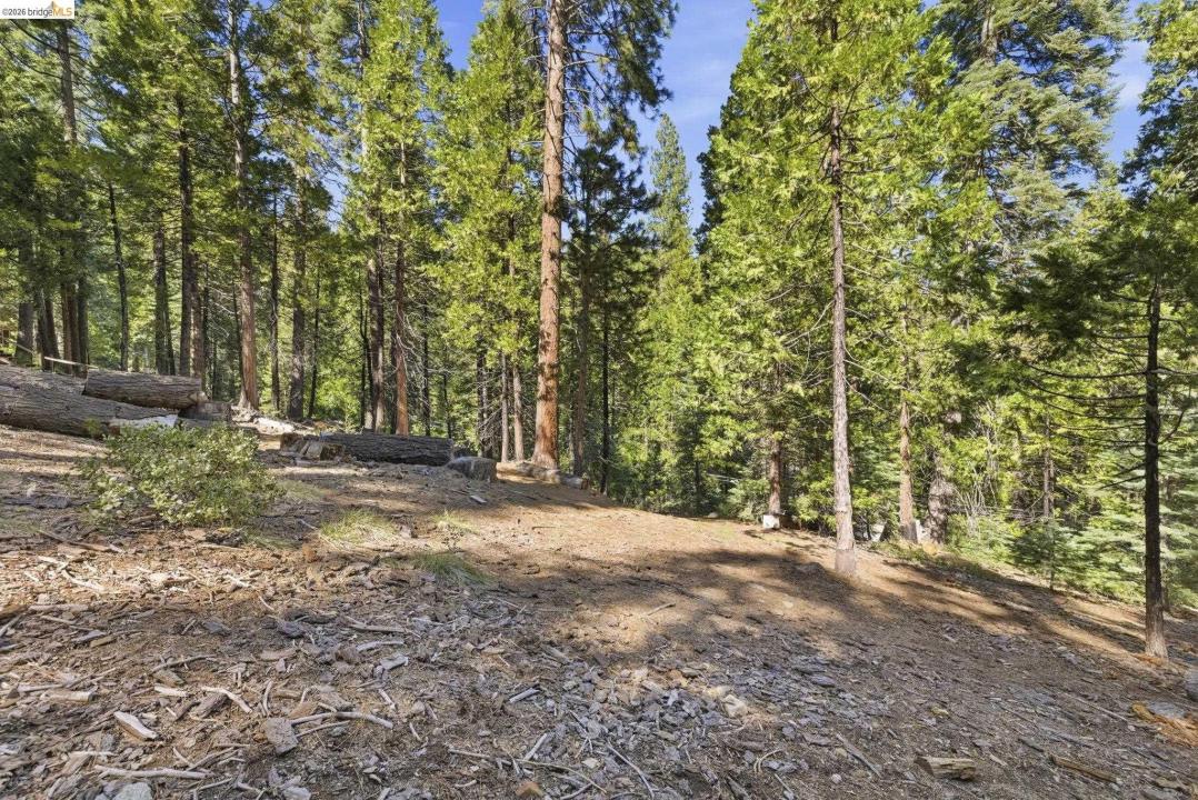 Lot 388 Kerns, Long Barn, California 95335