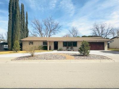 1310 W Ural Drive, Carlsbad, NM 88220, USA