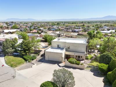 980 Hillside Circle SW, Los Lunas, NM 87031, USA