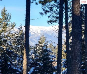 NNA Wildflower Way Blk 3 Lot 9, Sandpoint, איידהו 83864, ארצות הברית של אמריקה 