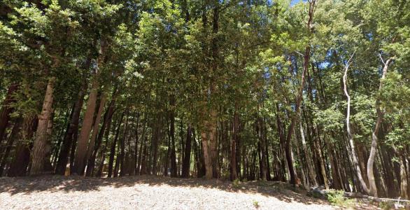 24230 Cypress Drive, Willits, California 95490, USA