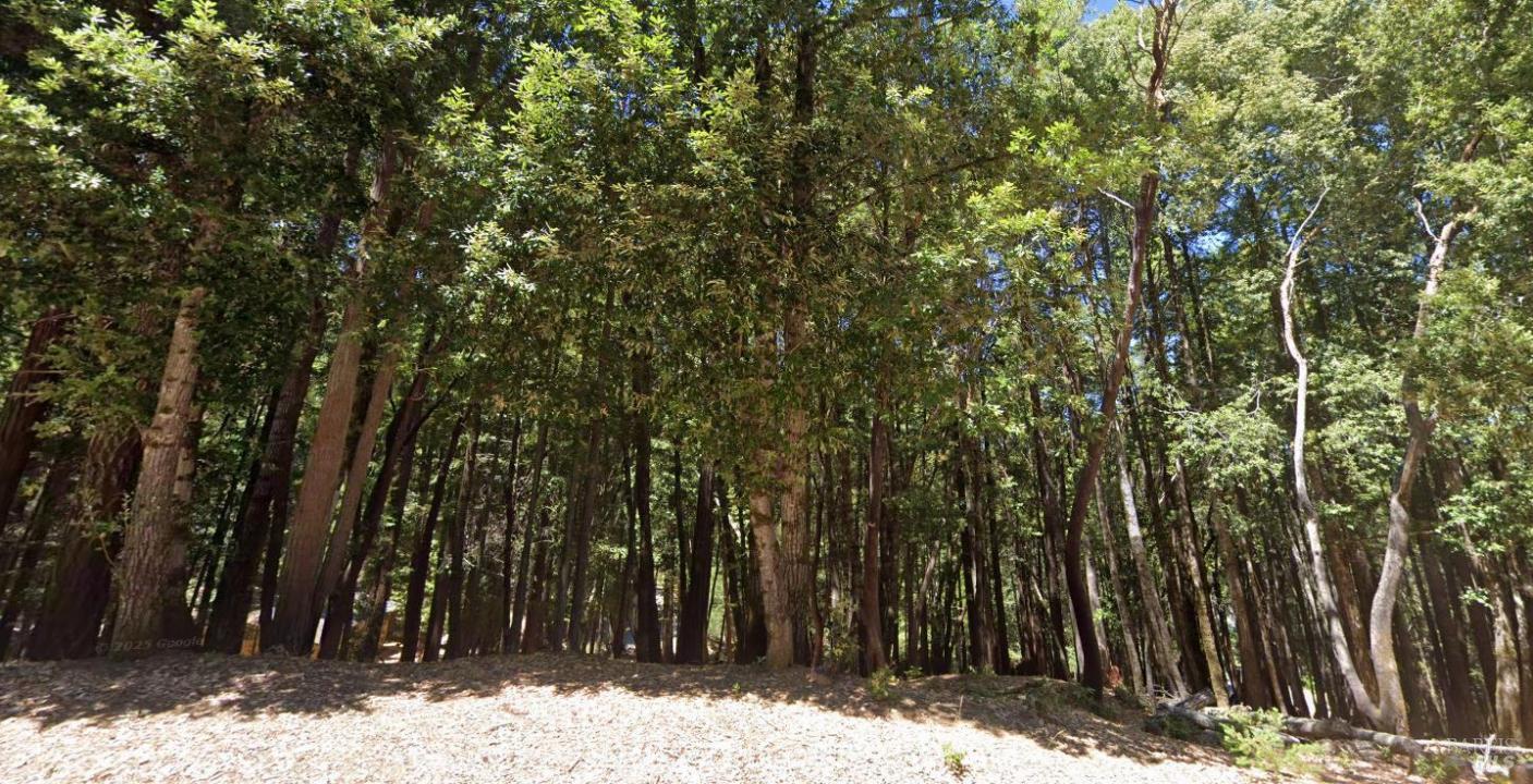 24230 Cypress Drive, Willits, カリフォルニア 95490, アメリカ合衆国