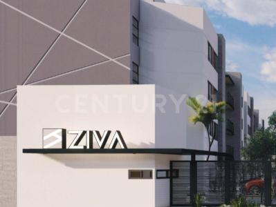 Dalias ,, San Luis Potosí, San Luis Potosí 78399, Mexico