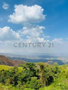 San Felipe, Yaracuy 00001, 委内瑞拉