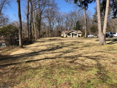 19 Crescent Rd, Wayne Twp., NJ 07470, USA