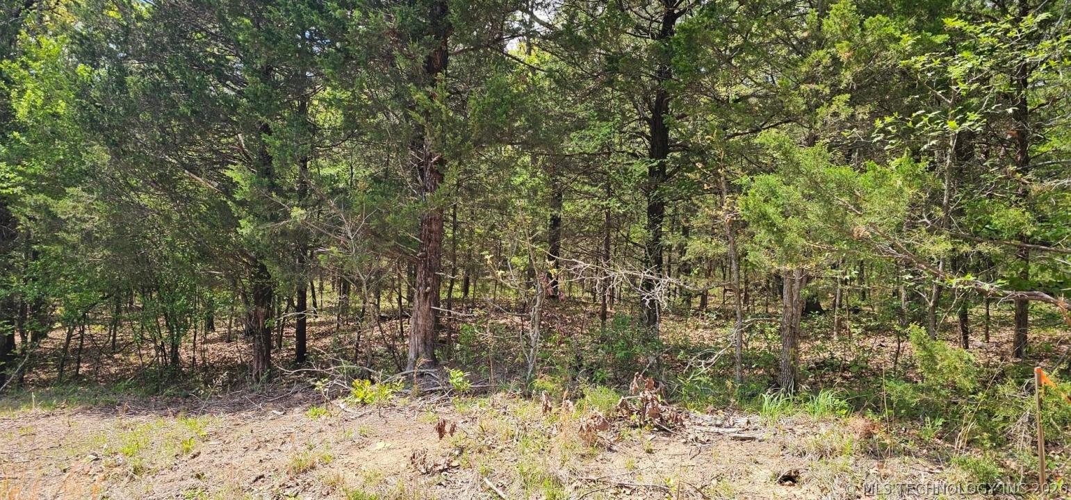 E 1002 Road, Gore, 俄克拉荷马州 74435, 美国