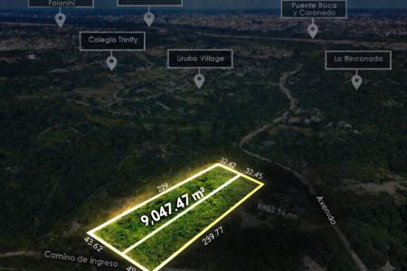 Urubo, Santa Cruz 00001, Bolivia