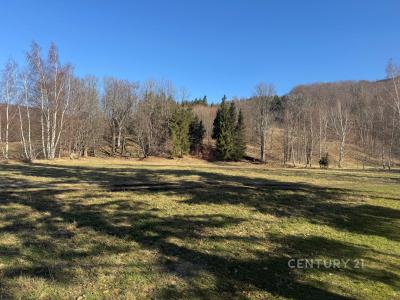 Bílý Potok, Liberec 100 00, Czech Republic