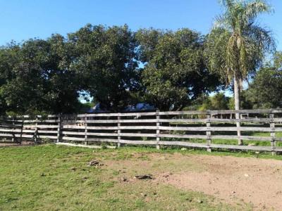 Caapucú, Paraguarí 00001, Paraguay