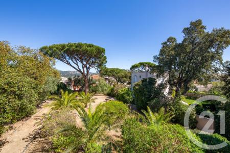 Ste Maxime, Provence-Alpes-Côte D'Azur 83120, France