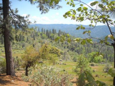 1202 Heather Drive, Murphys, California 95247