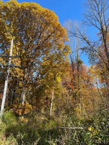 W 11th Street, Fulton, NY 13069, USA