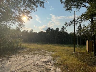 714 Riverbank Rd, Reidsville, Georgia 30427, USA