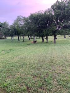 Lot 42 Half Moon Way, Runaway Bay, Texas 76426, Estados Unidos