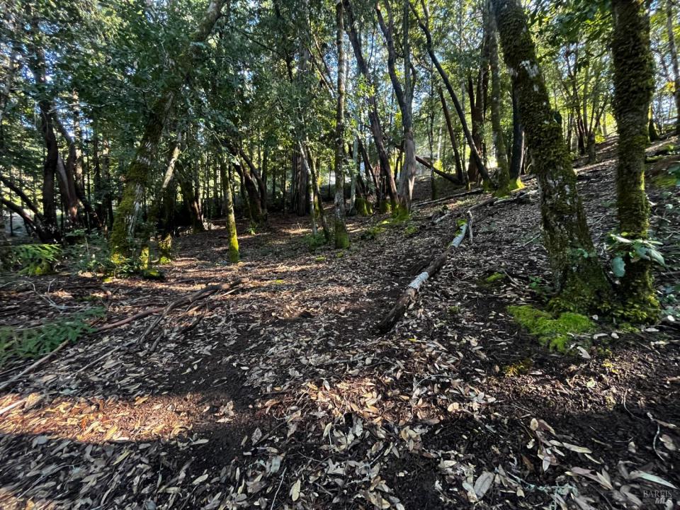 24278 Tulip Drive, Willits, 캘리포니아 95490, 미국