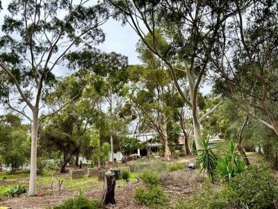 436 Main North Road, Evanston Park, SA 5116, Australia