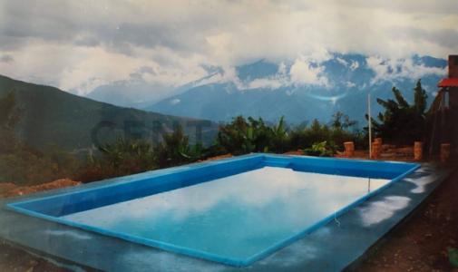 Coroico, Nor Yungas, zona Yalaca, comunidad Yalaca S/N, La Paz, La Paz 00001, Bolivien