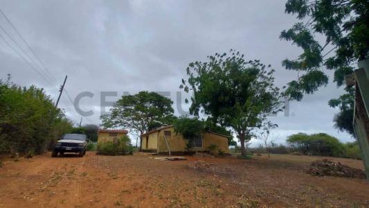 Sector Aricugua Casa con Terreno Aricagua, La Plaza De Paraguachí, Nueva Esparta 5119, 委内瑞拉