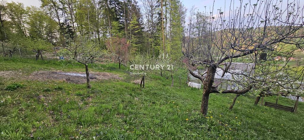 Kozjak nad Pesnico, Kungota, Podravska 2201, Slovénie