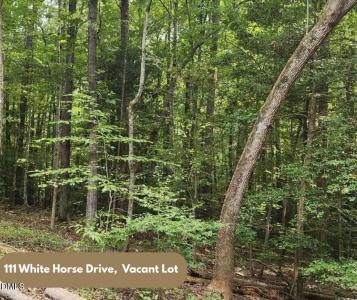 111 White Horse Drive, Louisburg, Caroline Du Nord 27549, États-Unis
