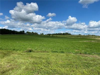 Lot 2 Blk 2 Serenity Drive SW, Alexandria, Minnesota 56308, USA