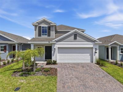 2707 Runners Circle, CLERMONT, Florida 34714, Stati Uniti